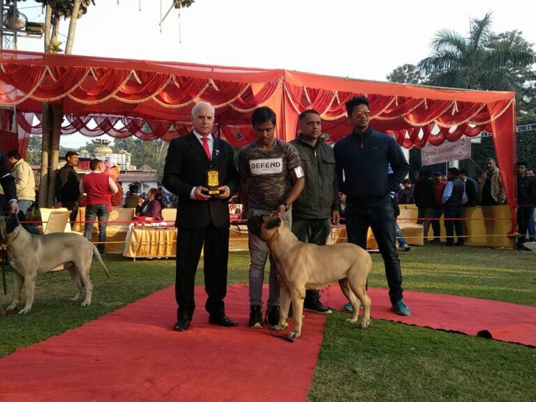 26230671_568538183490834_8501734193914496466_n