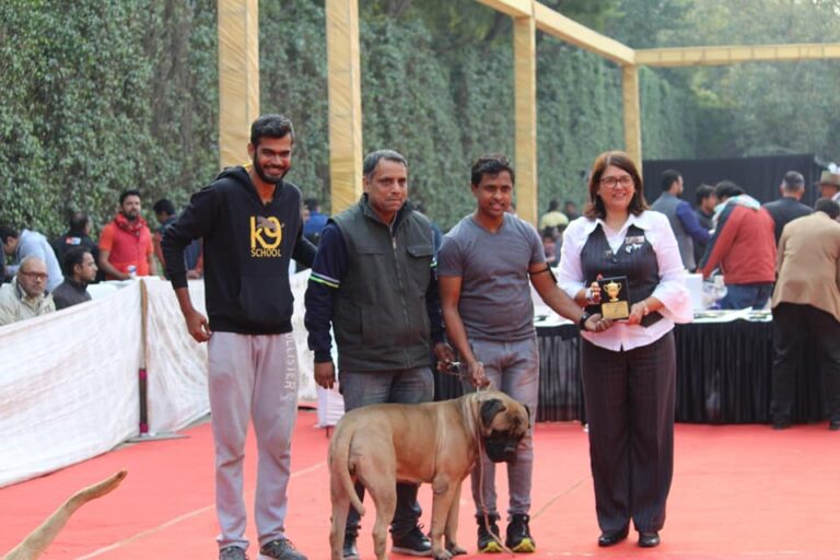 30411945_616040865407232_9092478533679760168_n