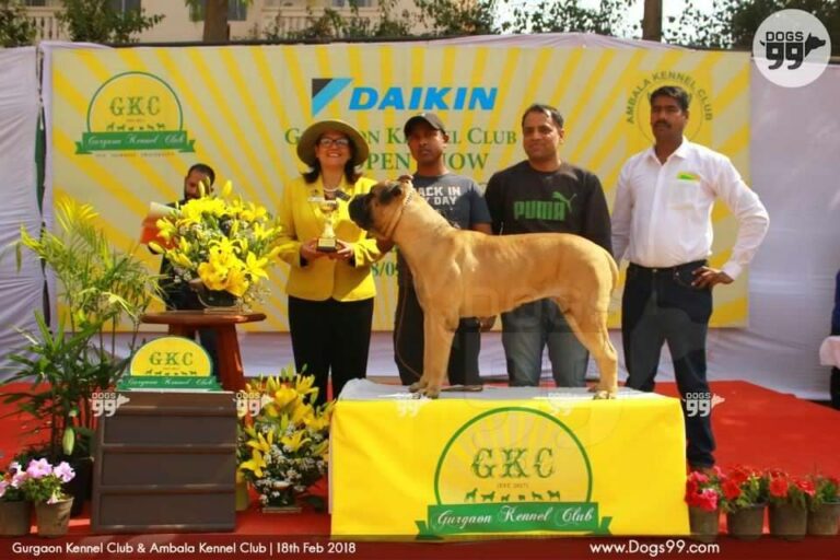 30443408_616040942073891_1949997197548068003_n