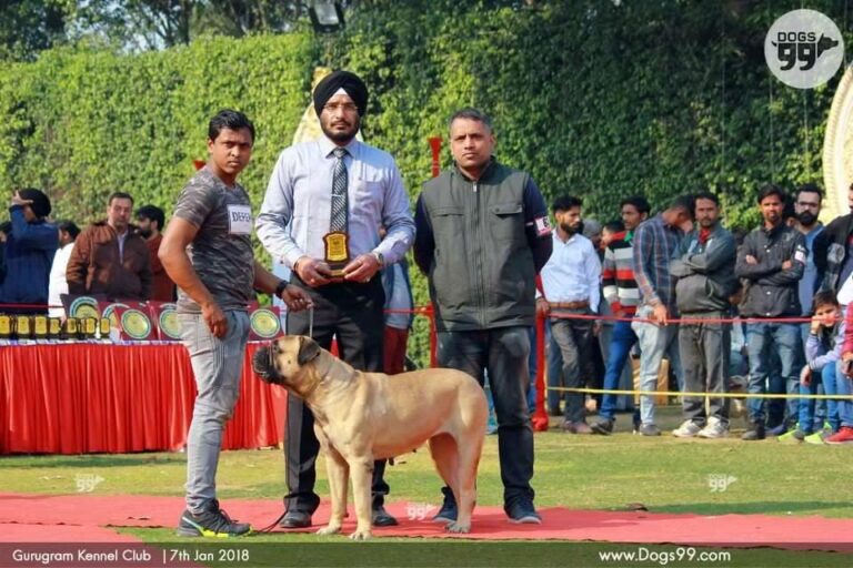 30516714_616041038740548_930660112020831661_n