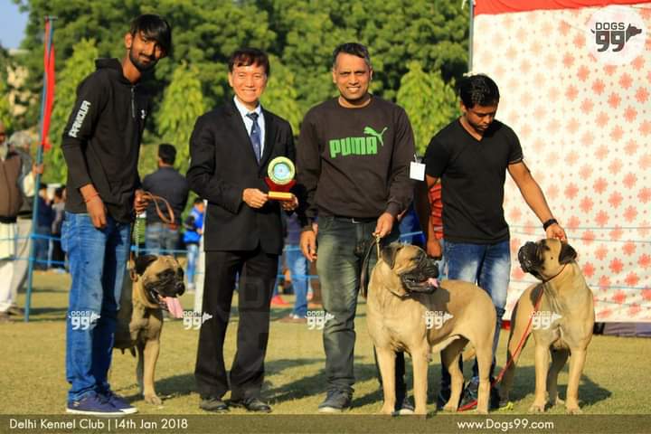 FB_IMG_1684936866499