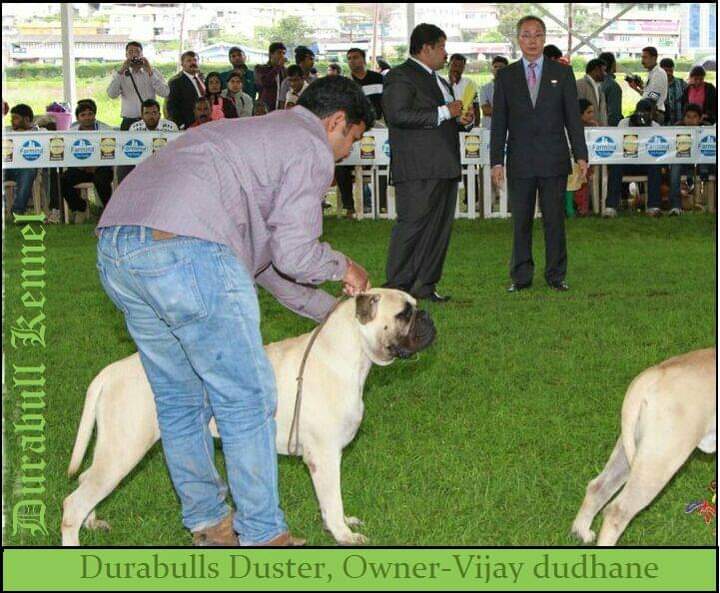 FB_IMG_1684937164978